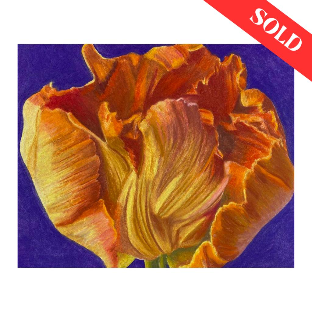 ''Parrot Tulip'' by Rachel Perls