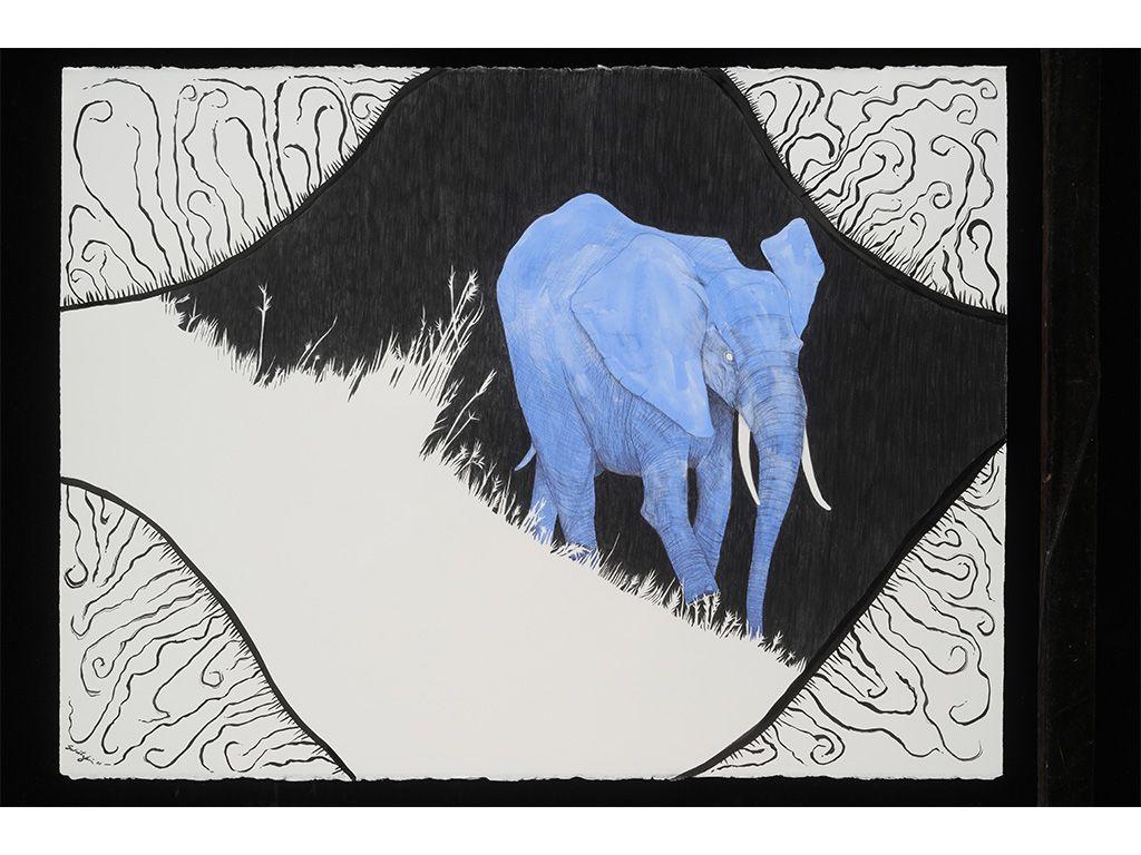 ''Insomnia: African Savannah Elephant'' by Artemis L...