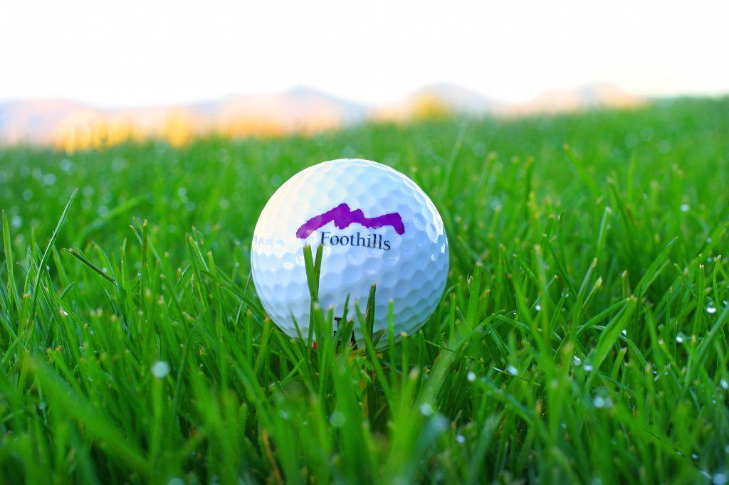 Foursome Golf at Meadows Golf Club OR Foothills Golf...