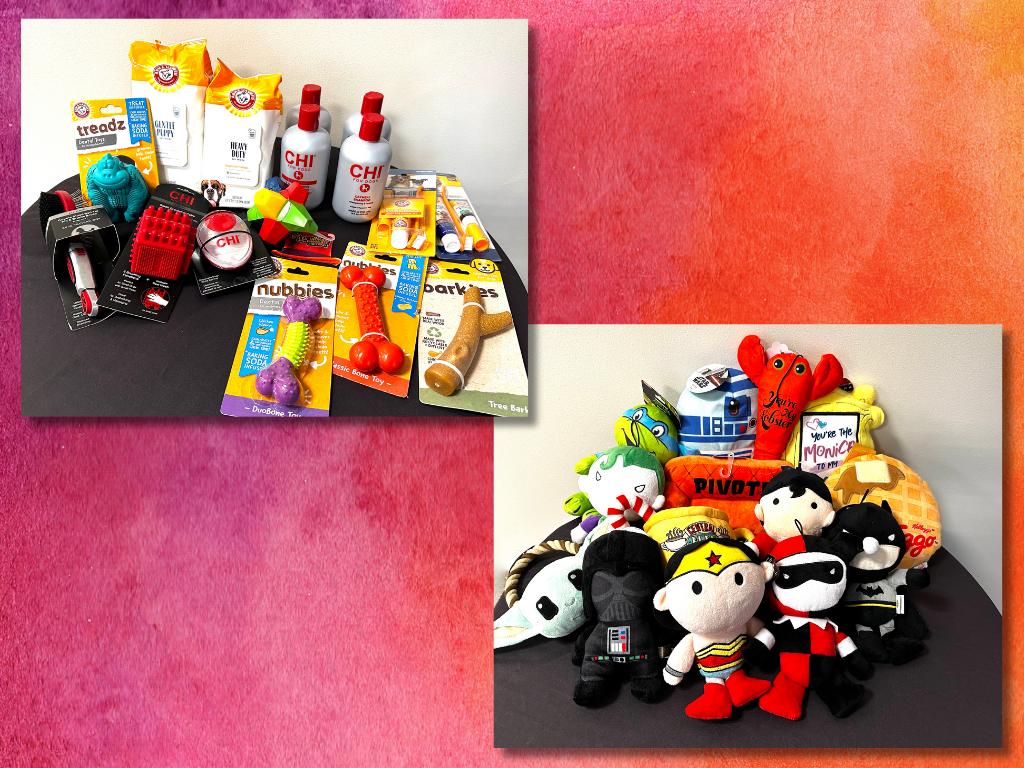 Fetch for Pets AMAZING Gift Basket