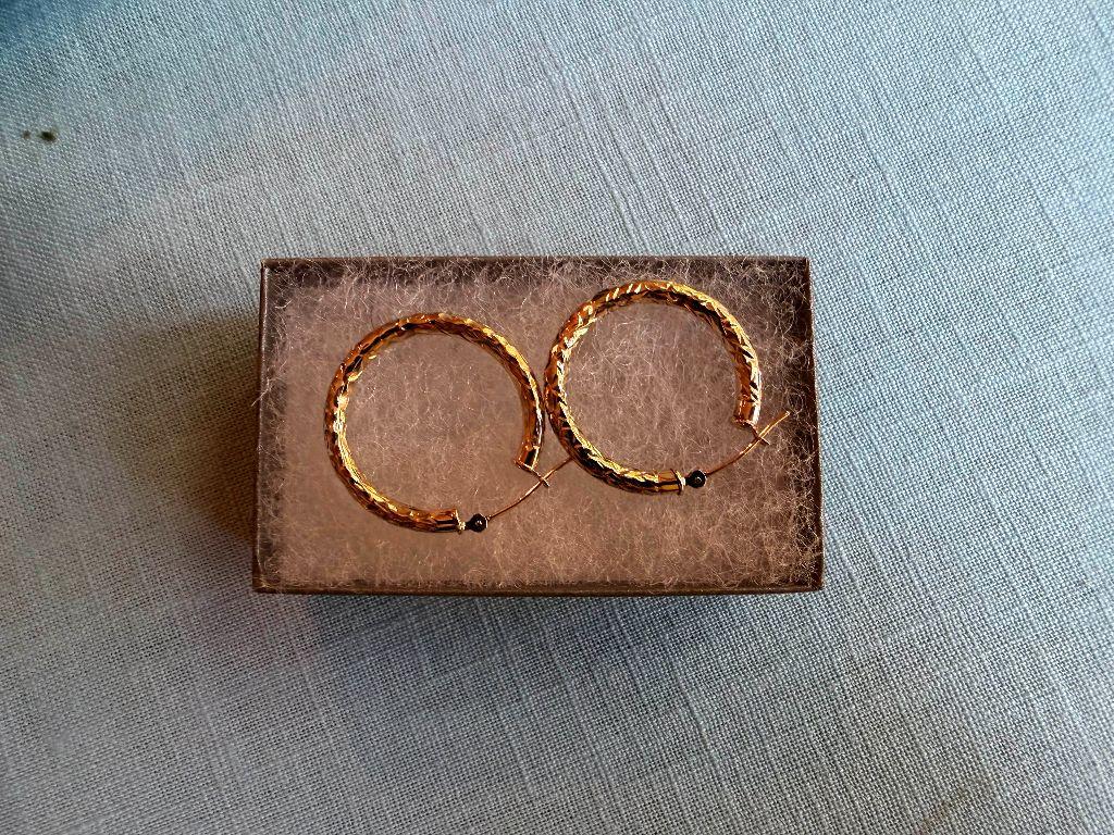 Gold Hoop Earrings Donated by DJs Silvermine