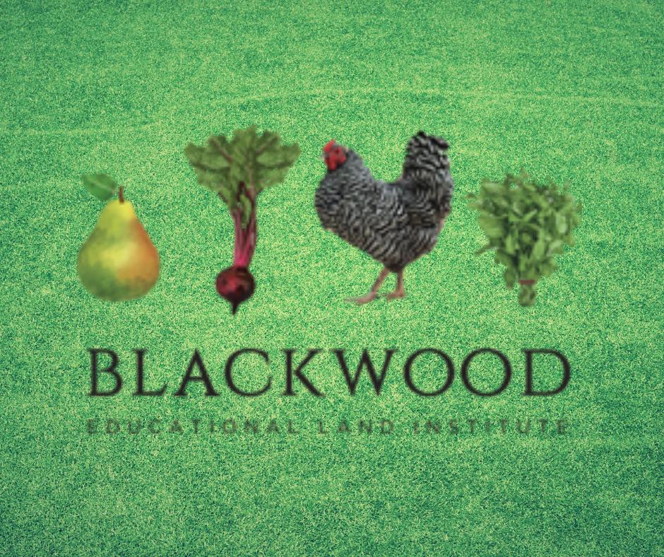 BLACKWOOD FALL AGRITOURISM DAY