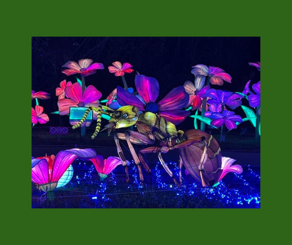 Houston Botanic Garden Family Membership