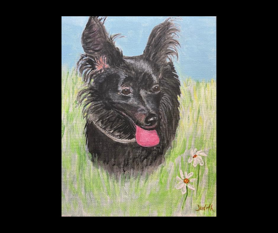 Pet Portrait by artist Judith Donaldson