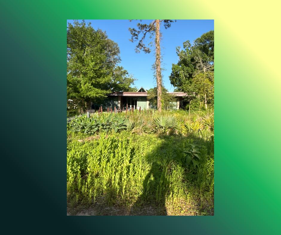 Arboretum One-Year Family Membership
