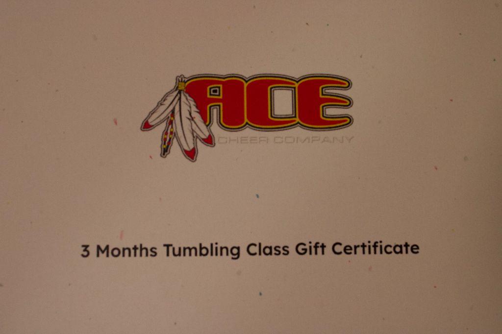 3 Months of Tumbling Classes at ACE Cheer Company
