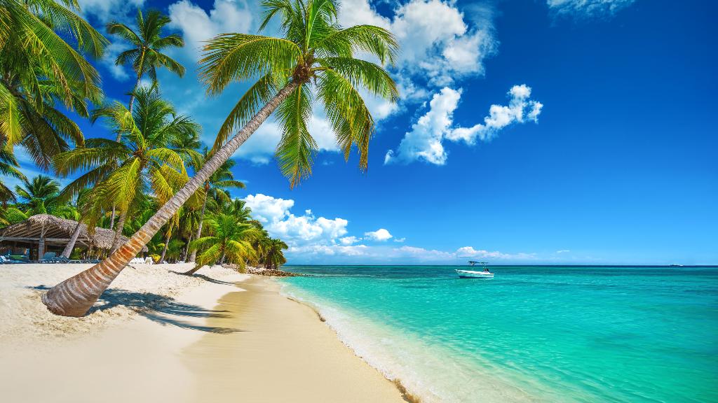 4 Night Punta Cana Family Vacation