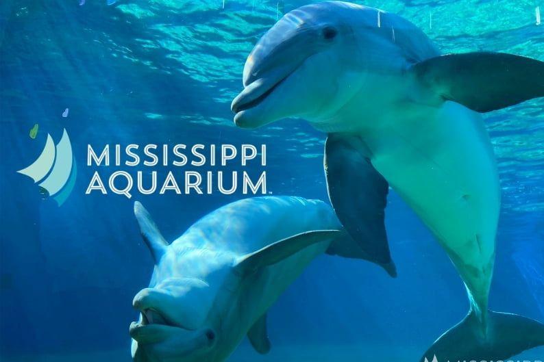 Trip to the Mississippi Aquarium with Dolphin Encounter Passes