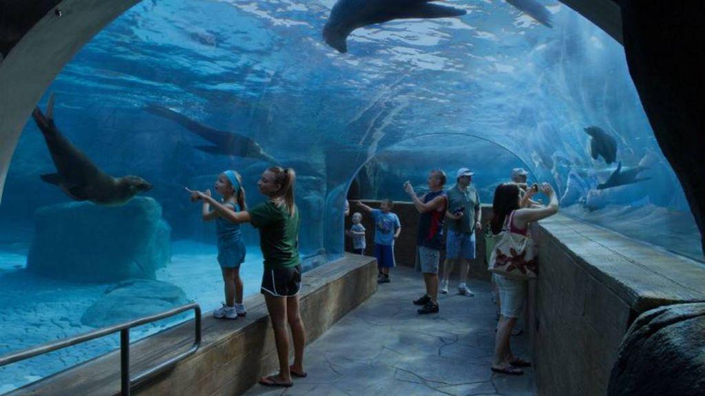 Trip to the Mississippi Aquarium with Dolphin Encounter Passes