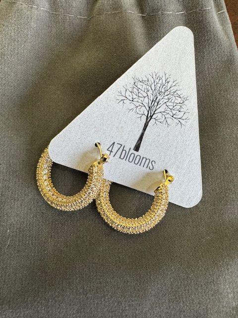 Polished Yellow Gold Hoops