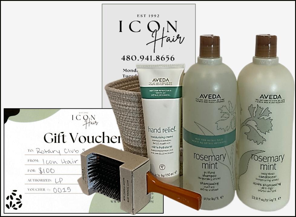 Icon Hair Basket