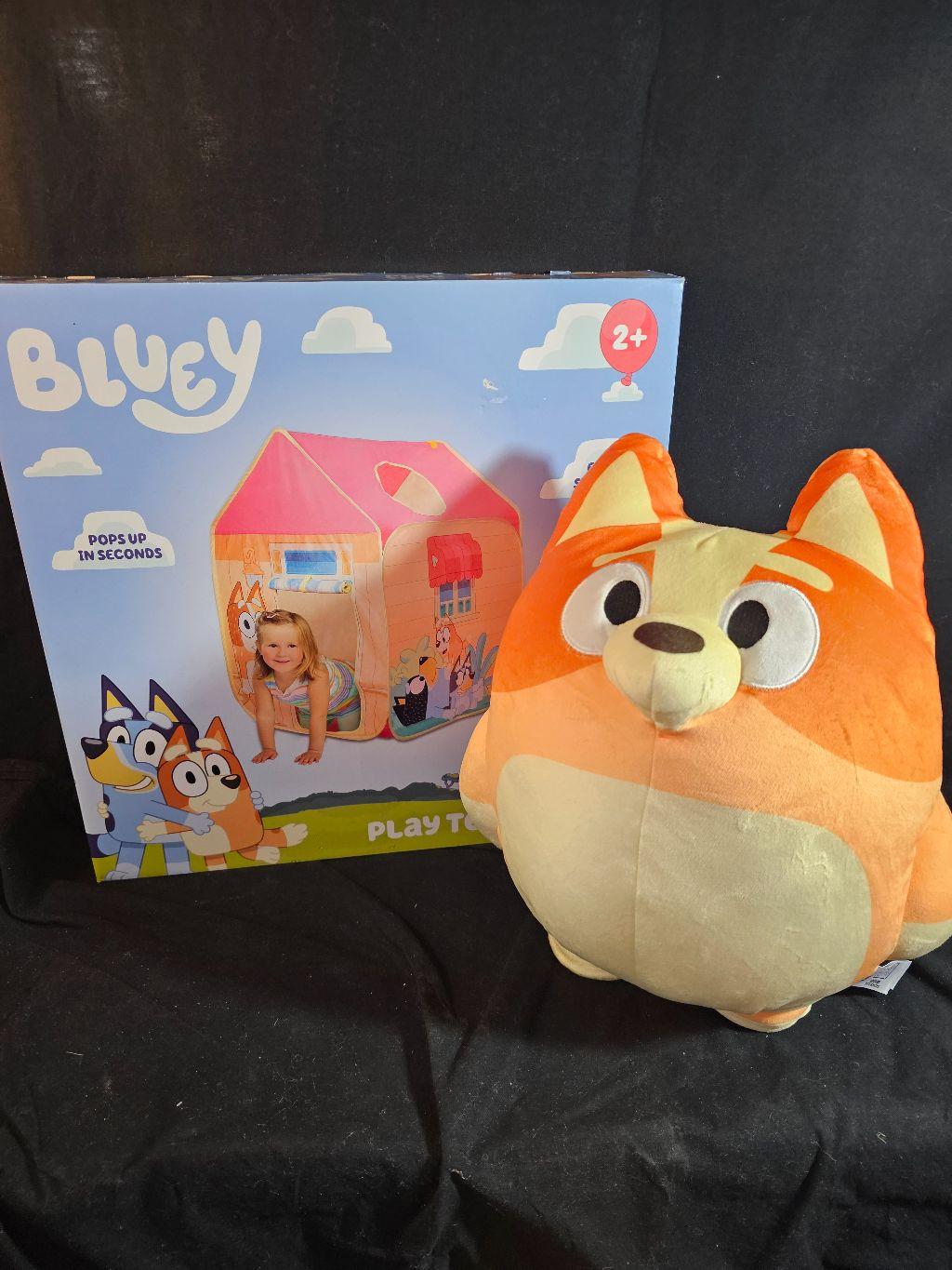 Bluey Package