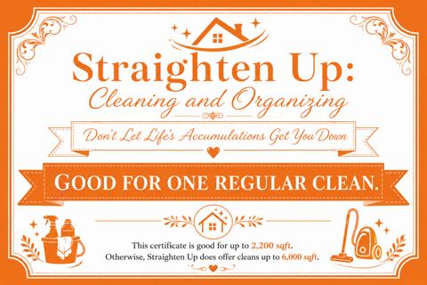 One Regular House Cleaning