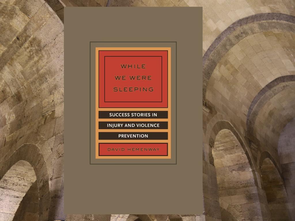 While We Were Sleeping IVP Book