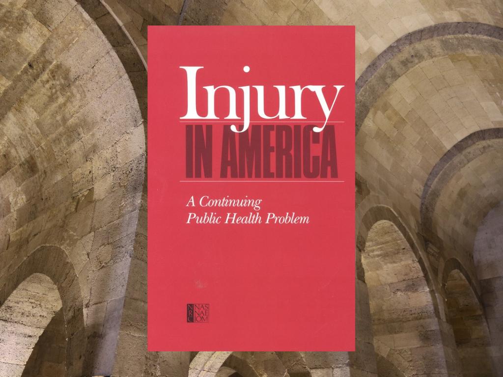 Injury in America Book