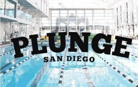 10 Day Punch Pass OR One Weekday Plunge Party