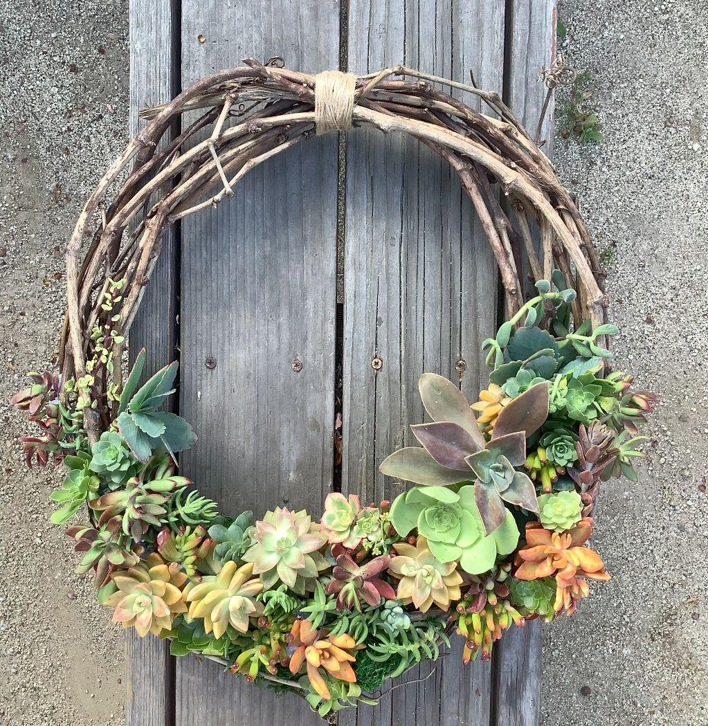 One-of-a-Kind Living Succulent Wreath Made by: Ms. S...