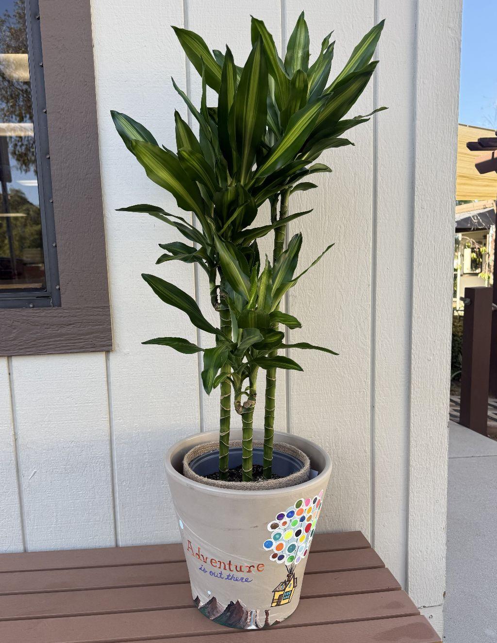 Bumblebee ''Up'' Inspired Hand-Painted Planter