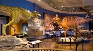 San Diego Natural History Museum - Family Four (4) Pack