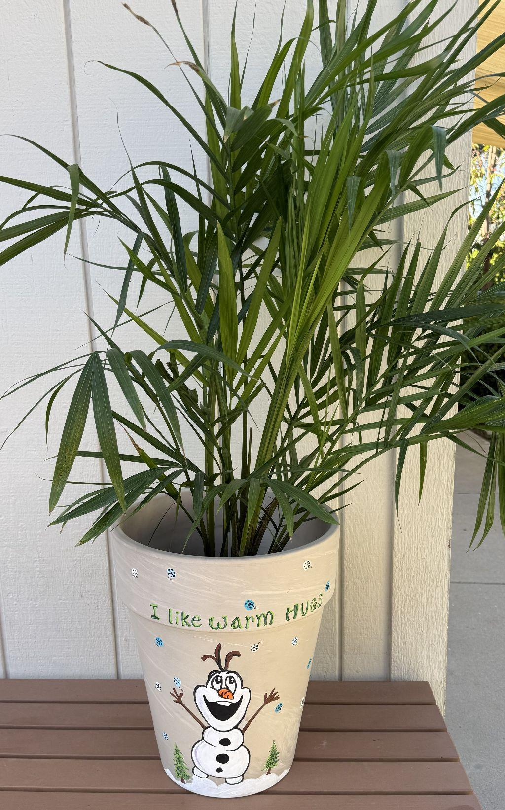 Dragonfly ''Frozen'' Inspired Hand-Painted Planter