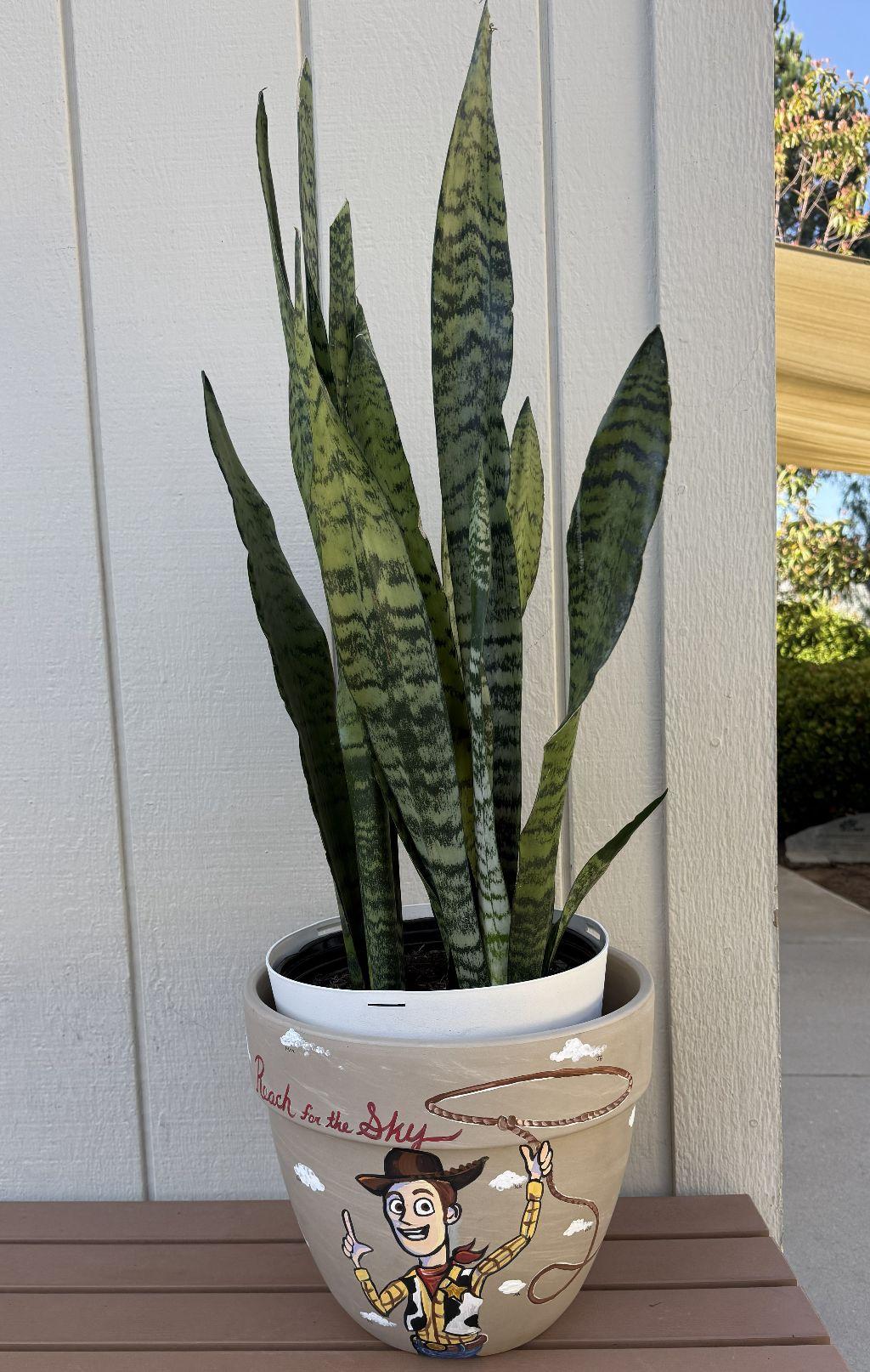 Ladybug ''Toy Story'' Inspired Hand-Painted Planter