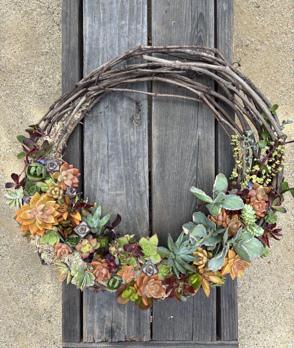 One-of-a-Kind Living Succulent Wreath Made by: Ms. S...