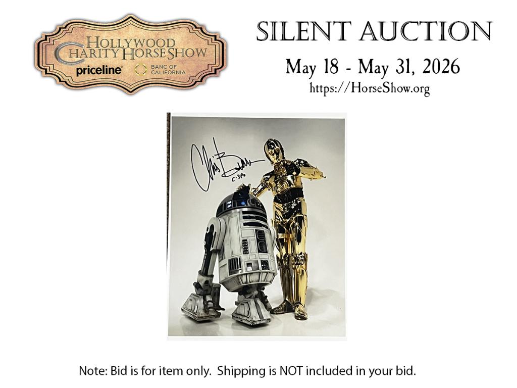 Star Wars: The Mandalorian 8 x 10 Photo of C3PO Sign...