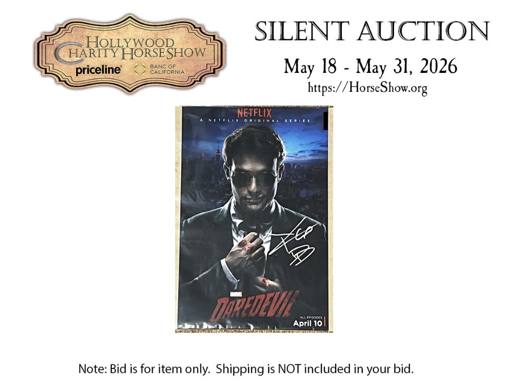 Marvel Daredevil 8 x 12 Photo signed by Charlie Cox