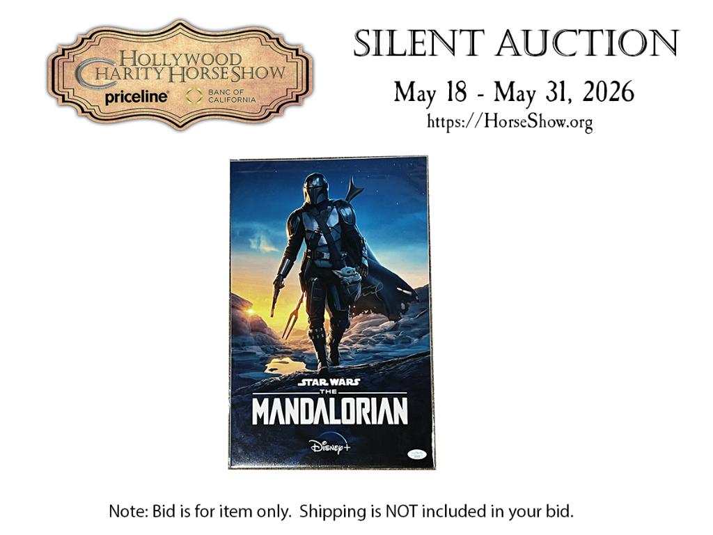 Star Wars The Mandalorian 11 x 17 Photo signed by Da...