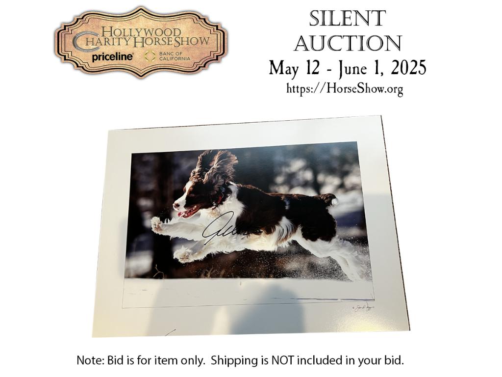 Running Spaniel Photo taken by Joe DiMaggio signed b...