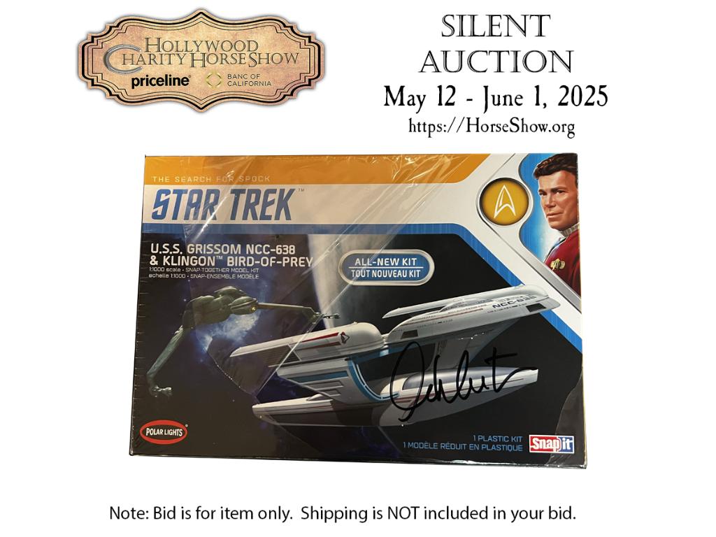 U.S.S. Grissom NCC-638 & Klingon Bird of Prey Sn...