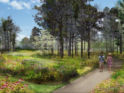 Family Tree Membership at Houston Arboretum (Explore Houston Basket)