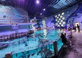 Family Annual Pass to Houston Interactive Aquarium