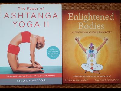 Two Books: Enlightened Bodies and The Power of Ashtanga Yoga