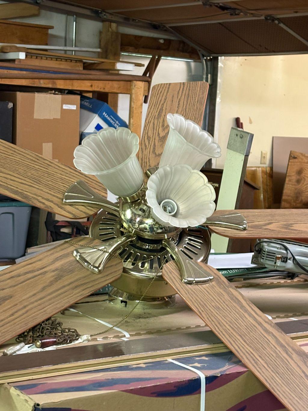 Ceiling Fan with Lights