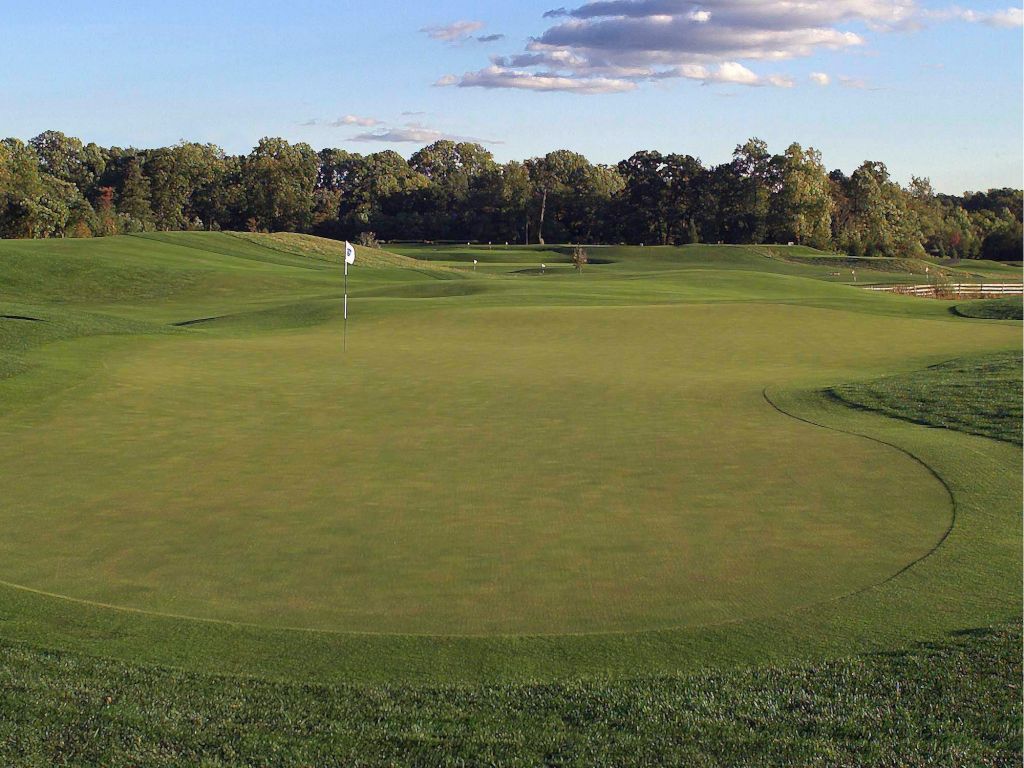 Foursome of Golf at Laurel Creek Country Club