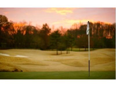 Foursome of Golf at Vineyard National Golf Course at Renault