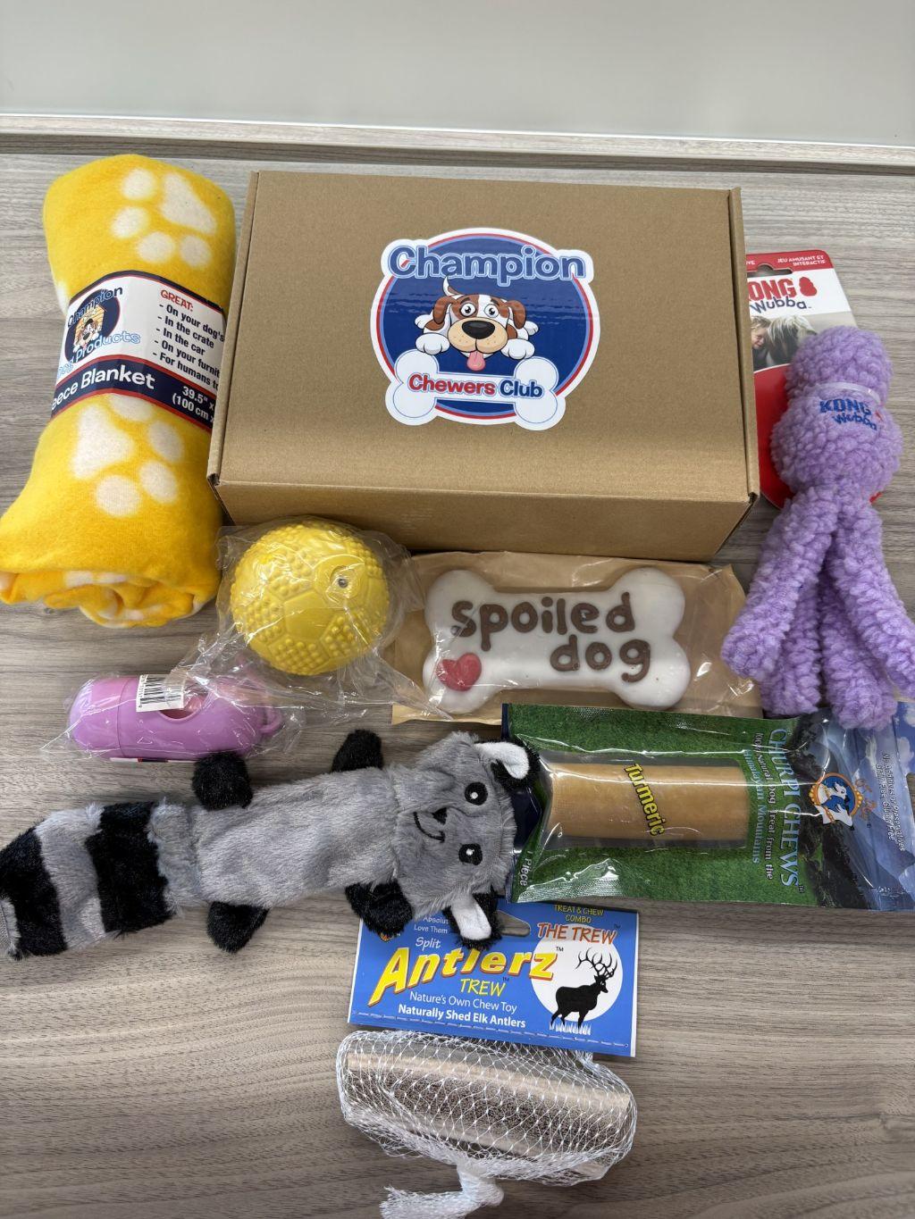 Champ's Tail-Wagging Treat Basket