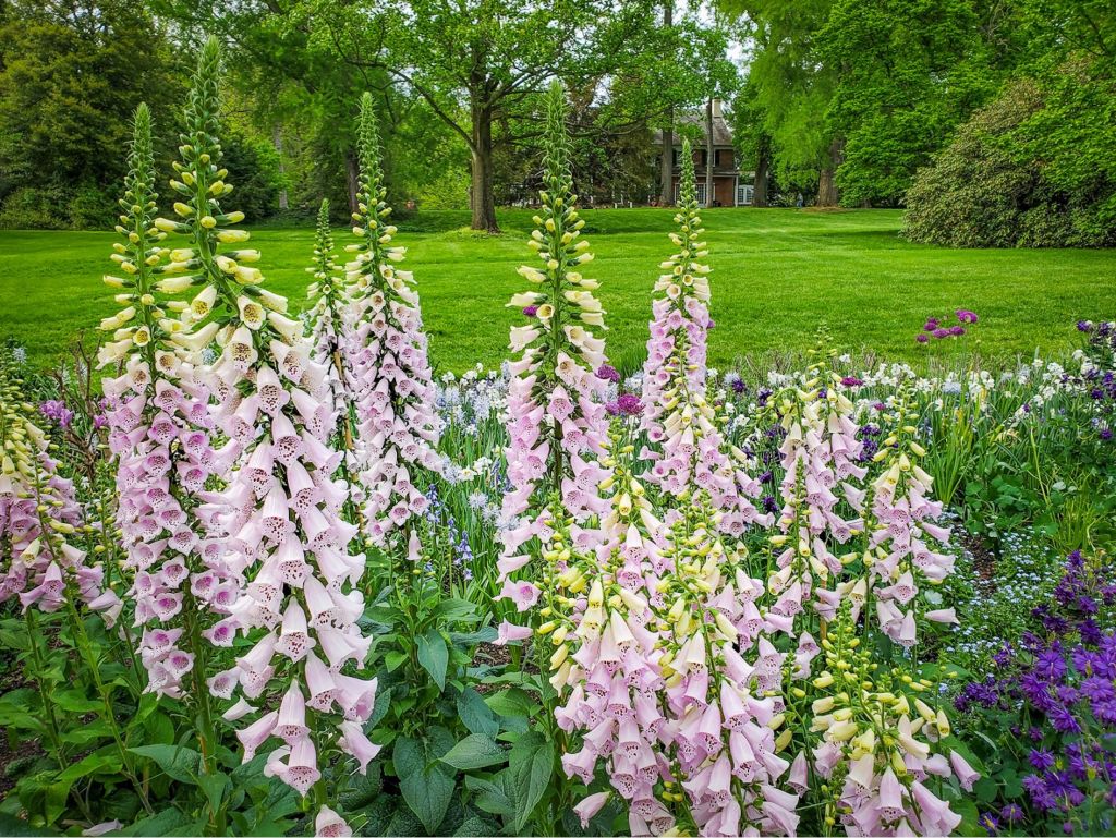 2 Tickets to Longwood Gardens