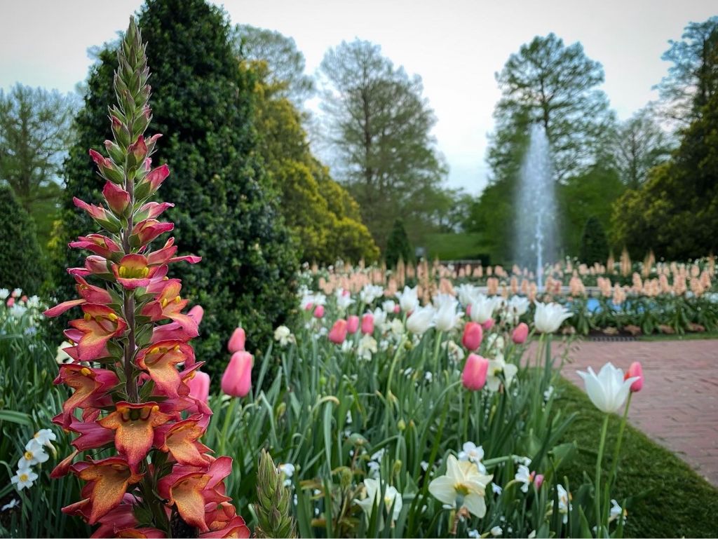 2 Tickets to Longwood Gardens