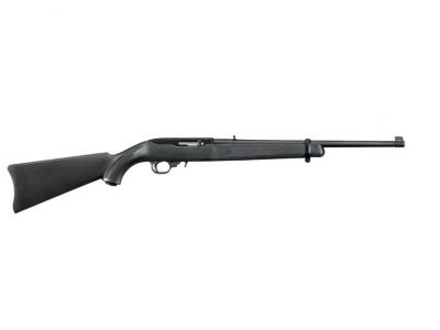 Ruger 10/22