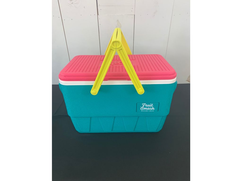 Retro Picnic Cooler