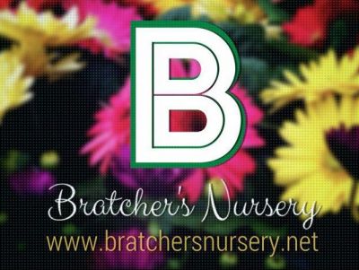 $100 Gift Certificate to Bratchers Nursery and Landscaping