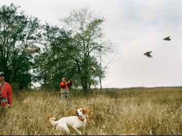 3 Day, 2 Night South Texas Quail Hunt for 4- Includes Lodging, food, and guides