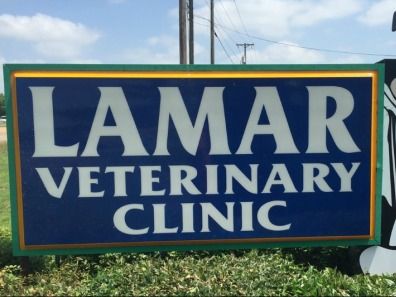 Annual Physical Exam with Vaccinations and Heartworm Check