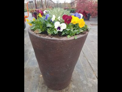 Nice Planter with Assorted Plants/Flowers