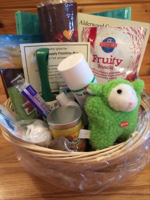 Fabulous Basket of Veterinary Services and Supplies