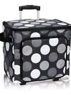 Rolling Cooler - Thirty-one gifts