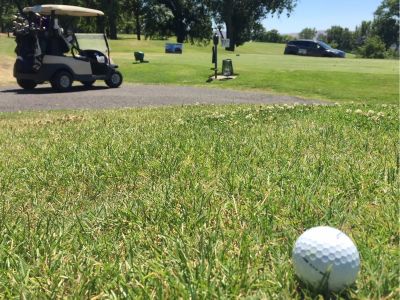 4 Rounds Golf and Lunch at Fircrest Golf & Country Club