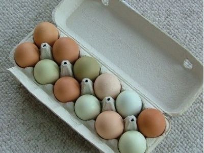Fresh Eggs for 12 weeks